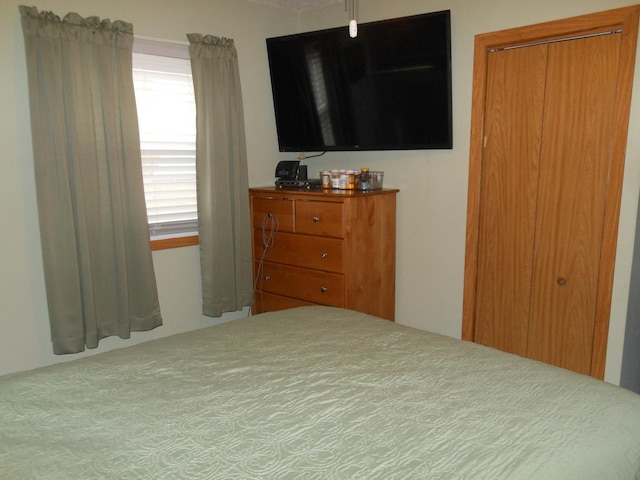 bedroom with a closet