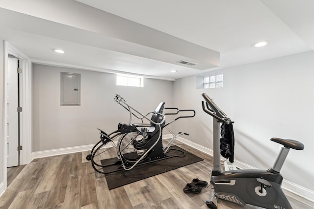 workout room with electric panel, a wealth of natural light, and hardwood / wood-style flooring