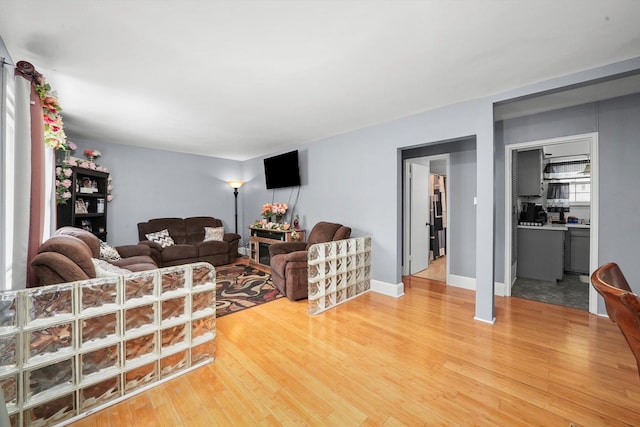 living room featuring hardwood / wood-style flooring