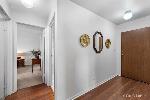 foyer entrance with dark hardwood / wood-style flooring