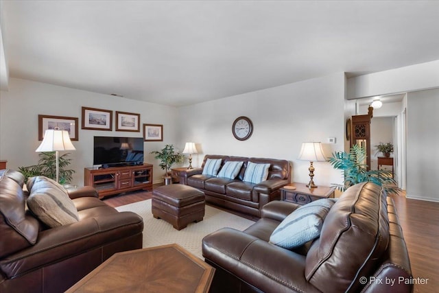 living room with wood-type flooring