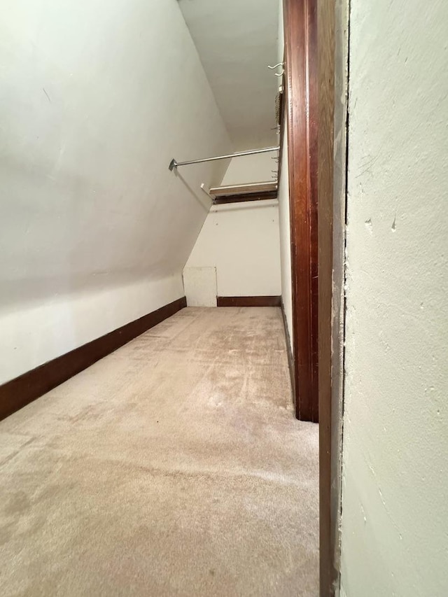 walk in closet with carpet floors and vaulted ceiling