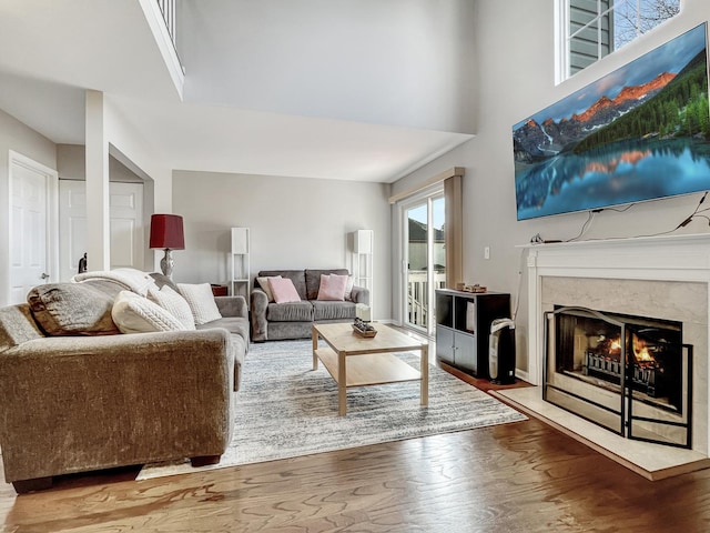 living room featuring wood-type flooring and a fireplace