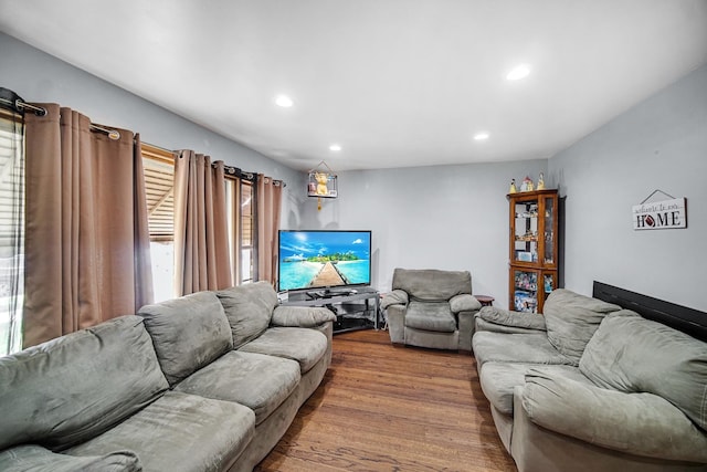 living room with hardwood / wood-style flooring