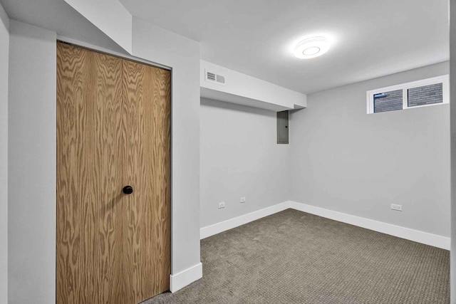 basement featuring carpet floors