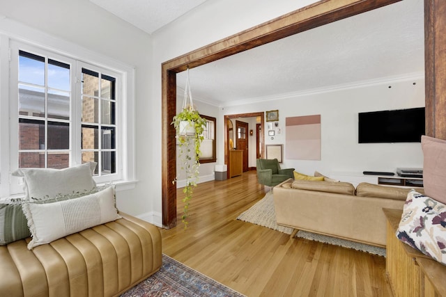 living room featuring wood-type flooring, ornamental molding, and a wealth of natural light