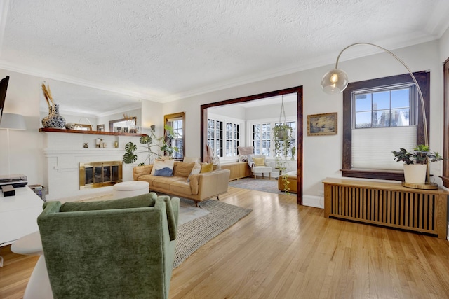 living room with a textured ceiling, light hardwood / wood-style flooring, radiator heating unit, and a wealth of natural light