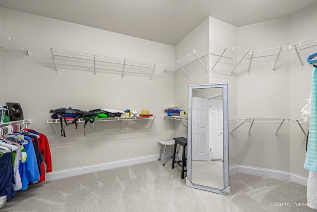 spacious closet with carpet flooring