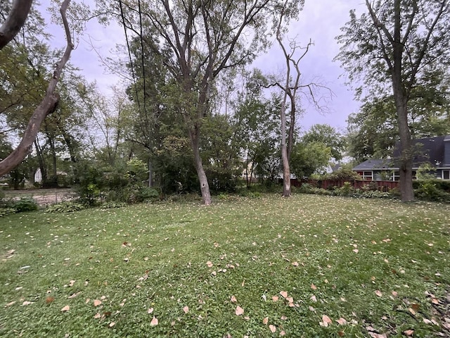 197 Washington St, Park Forest, IL 60466 - photo 16