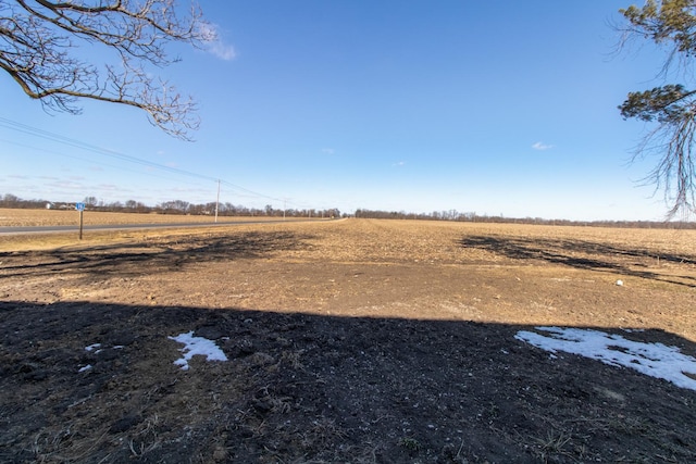 view of yard with a rural view