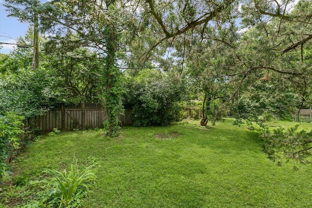 201 E Mumford Dr, Urbana, IL 61801 - photo 69