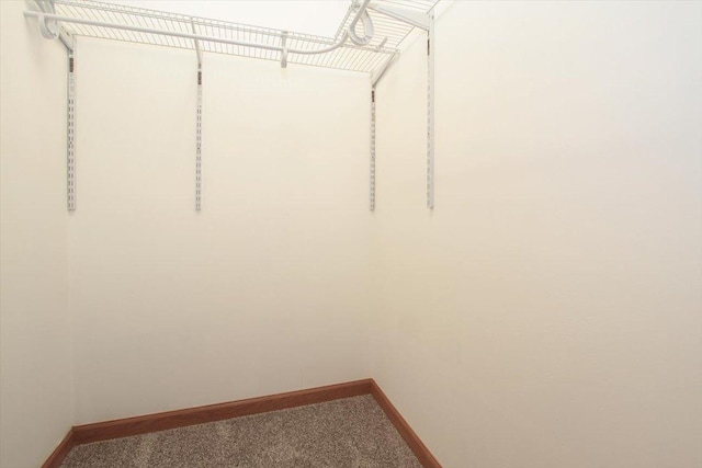 walk in closet with carpet flooring