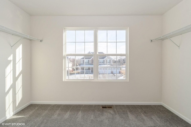 spacious closet featuring carpet flooring