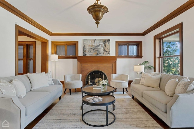5645 S Woodlawn Ave, Chicago, IL 60637 - living room featuring crown molding and a fireplace