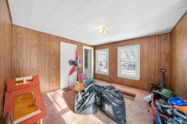 miscellaneous room with wood walls and carpet flooring