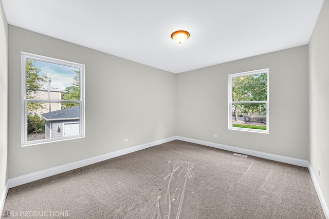 empty room with carpet flooring and a wealth of natural light