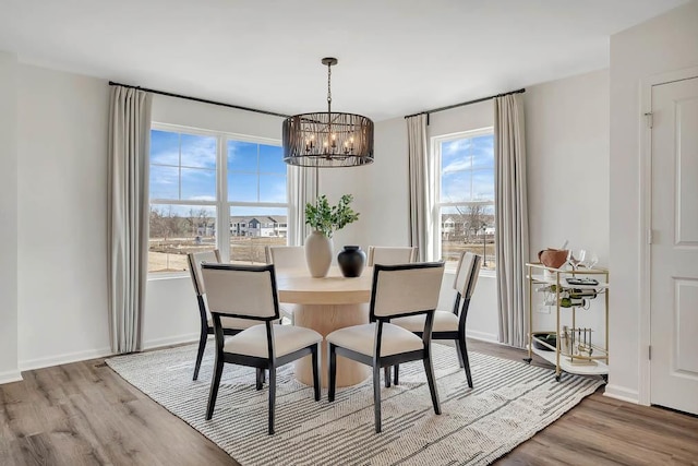 dining area with a chandelier, a healthy amount of sunlight, and light hardwood / wood-style floors