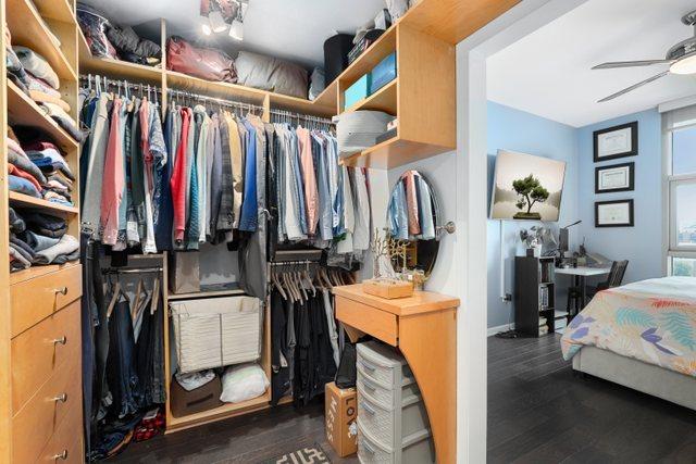 spacious closet featuring ceiling fan and dark wood-type flooring