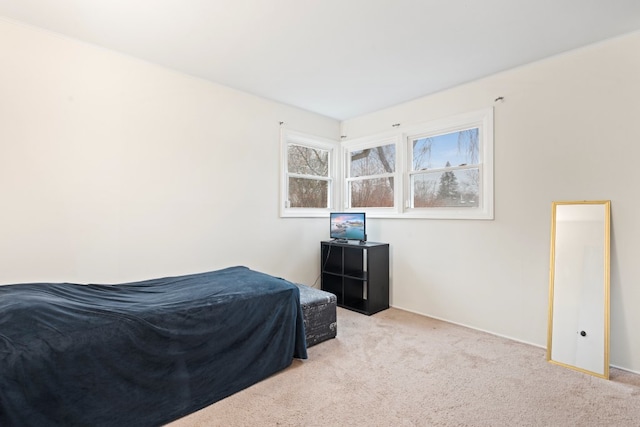 bedroom with light colored carpet