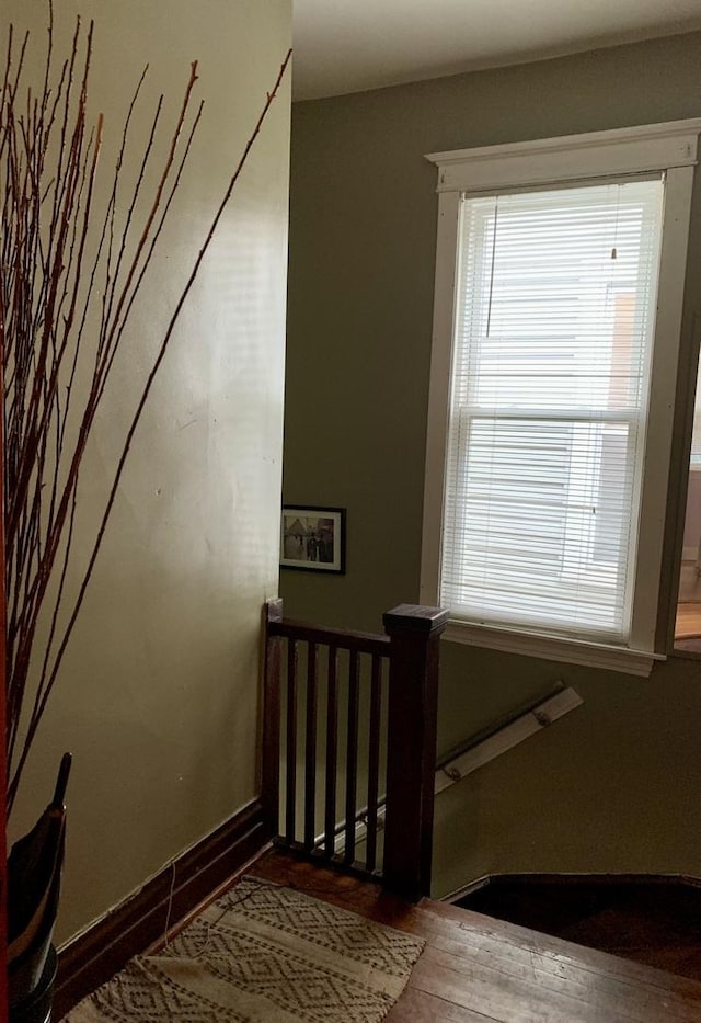 stairway with hardwood / wood-style floors