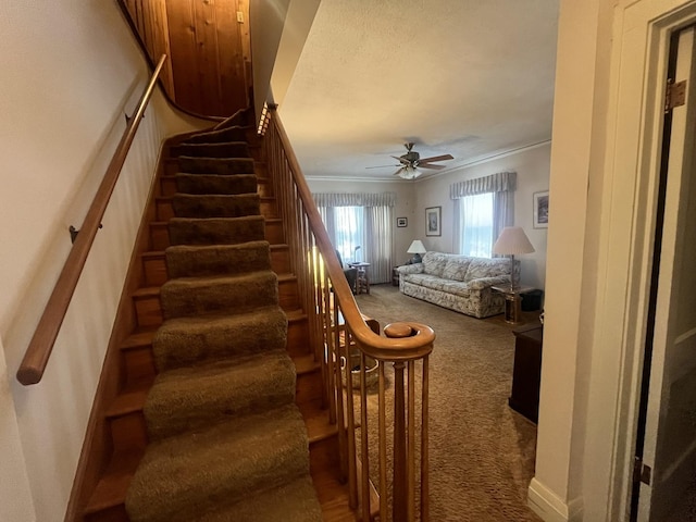 stairway featuring carpet floors, ceiling fan, and ornamental molding