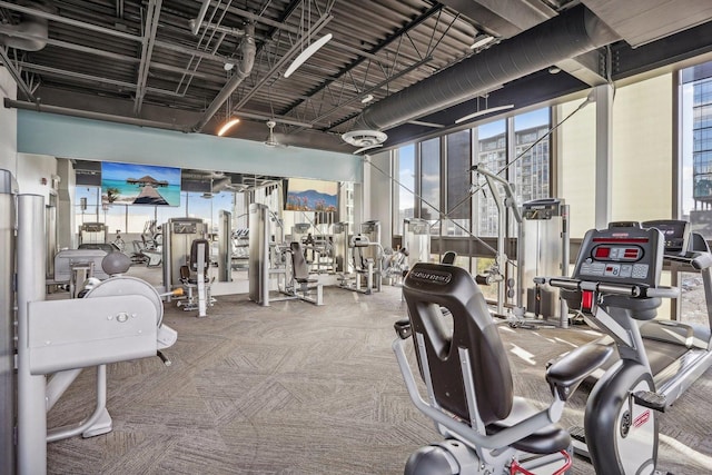 workout area with a wealth of natural light and carpet