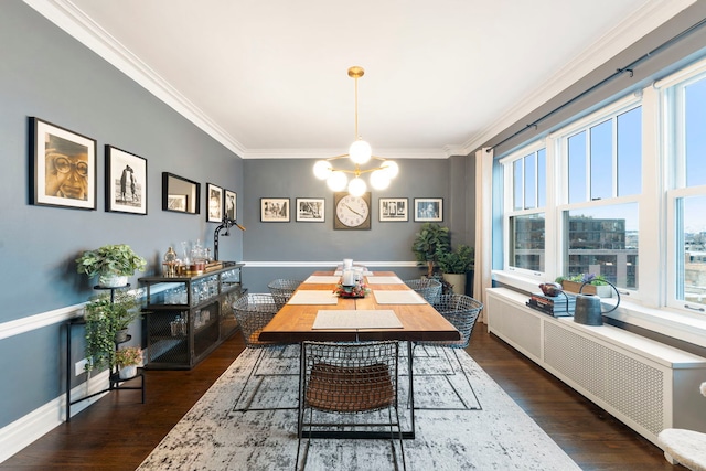 dining area featuring a wealth of natural light, crown molding, dark hardwood / wood-style floors, and radiator heating unit