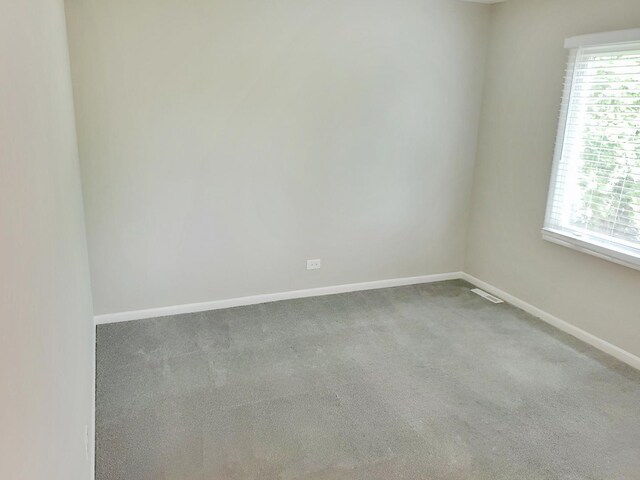 6111 Pingree Rd, Crystal Lake, IL 60014 - spare room featuring carpet floors and baseboards