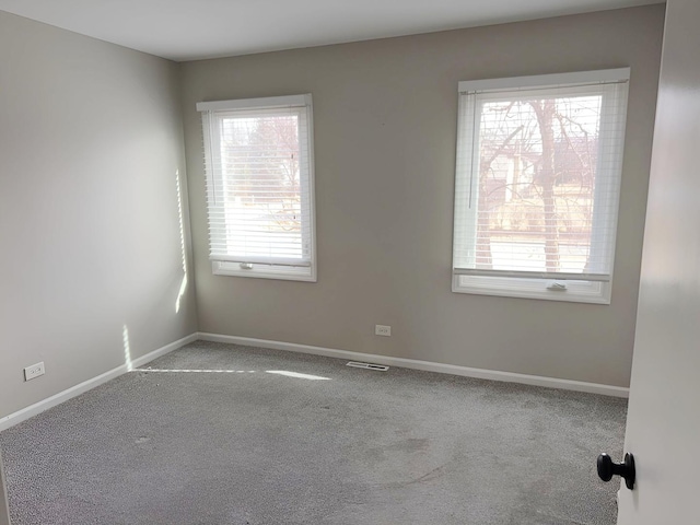 6111 Pingree Rd, Crystal Lake, IL 60014 - empty room featuring carpet floors and baseboards
