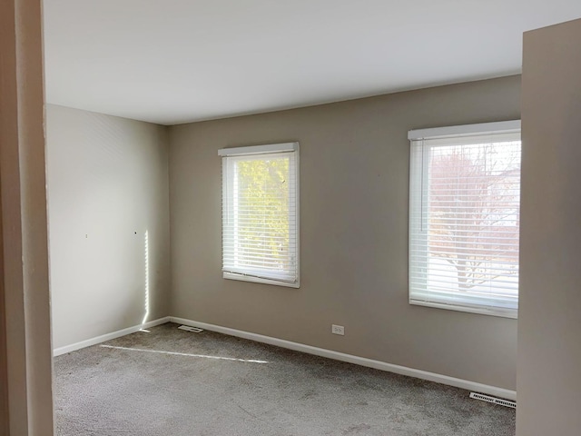 6111 Pingree Rd, Crystal Lake, IL 60014 - carpeted spare room with baseboards