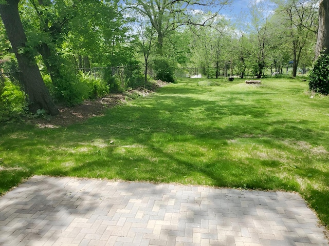 6111 Pingree Rd, Crystal Lake, IL 60014 - view of yard
