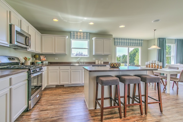 kitchen featuring hardwood / wood-style floors, pendant lighting, white cabinets, and stainless steel appliances