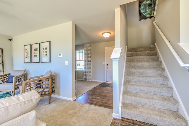 staircase with carpet floors