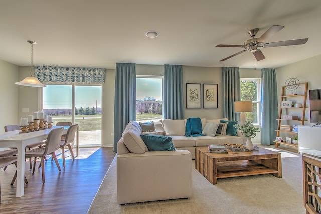 living room featuring ceiling fan and hardwood / wood-style flooring