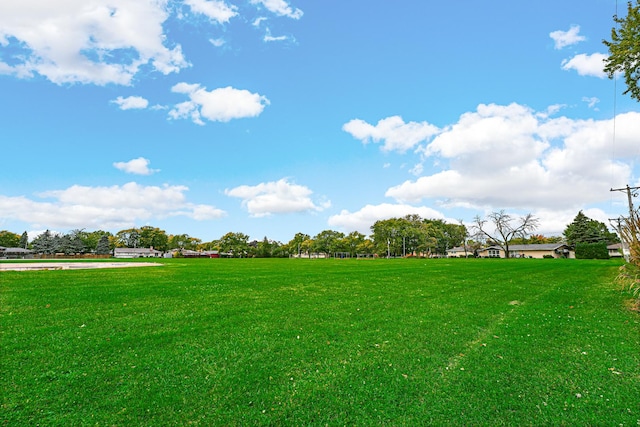 16734 Evans Ave, South Holland, IL 60473 - view of grassy yard