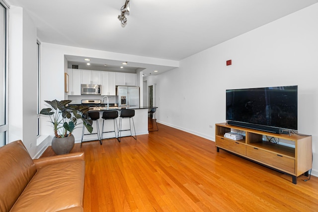 living room featuring light hardwood / wood-style floors and sink