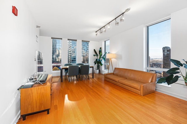 living room with hardwood / wood-style floors, rail lighting, and a wealth of natural light