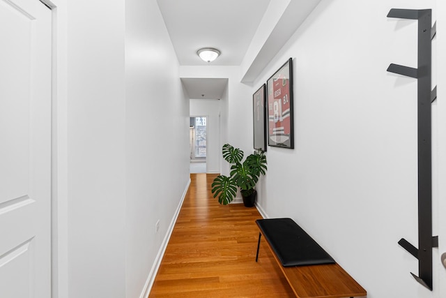 hallway with wood-type flooring