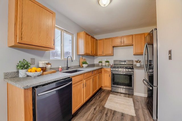 kitchen with sink, stainless steel appliances, dark hardwood / wood-style floors, and light brown cabinets