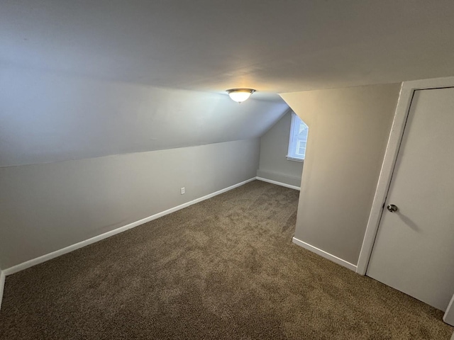 additional living space featuring carpet floors and lofted ceiling