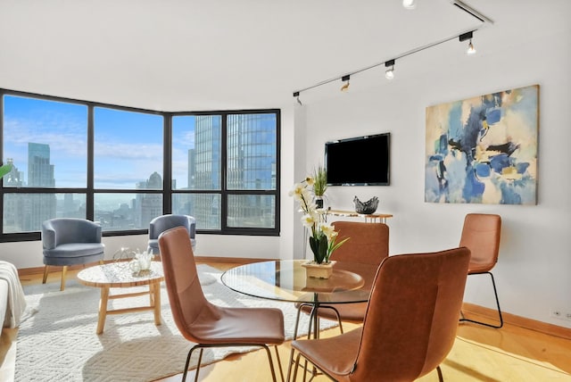 dining space featuring light hardwood / wood-style flooring and track lighting