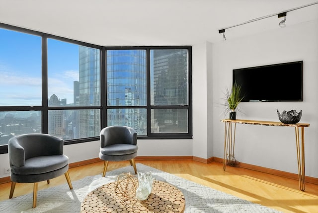 living area featuring hardwood / wood-style floors and rail lighting