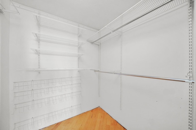 walk in closet featuring hardwood / wood-style floors