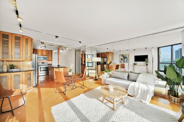 living room featuring light hardwood / wood-style floors and track lighting