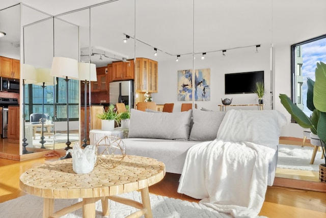 living room featuring a wall of windows, light wood-type flooring, and rail lighting