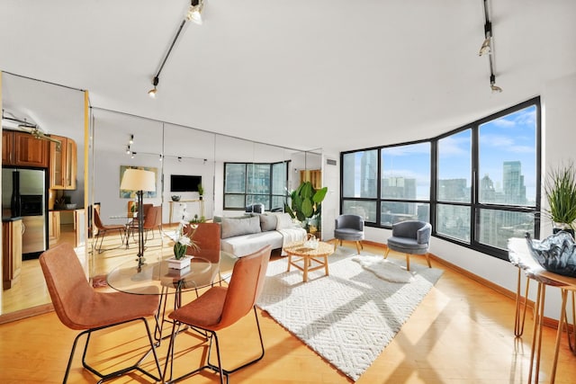 living room with light hardwood / wood-style flooring and track lighting