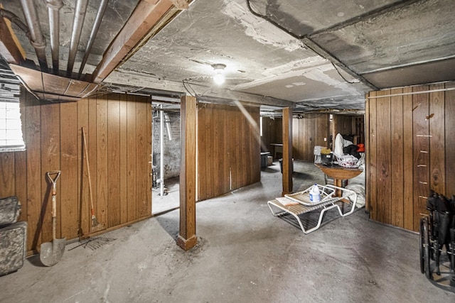 basement with wooden walls