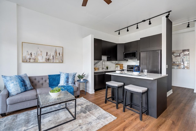 living room with hardwood / wood-style floors, ceiling fan, sink, and rail lighting