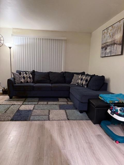 living room with wood-type flooring