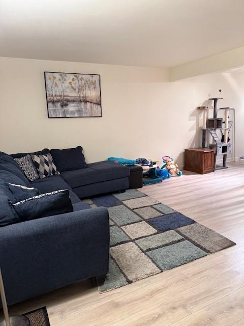 living room featuring wood-type flooring